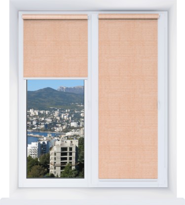 Рулонная штора Мини Тэфи 10