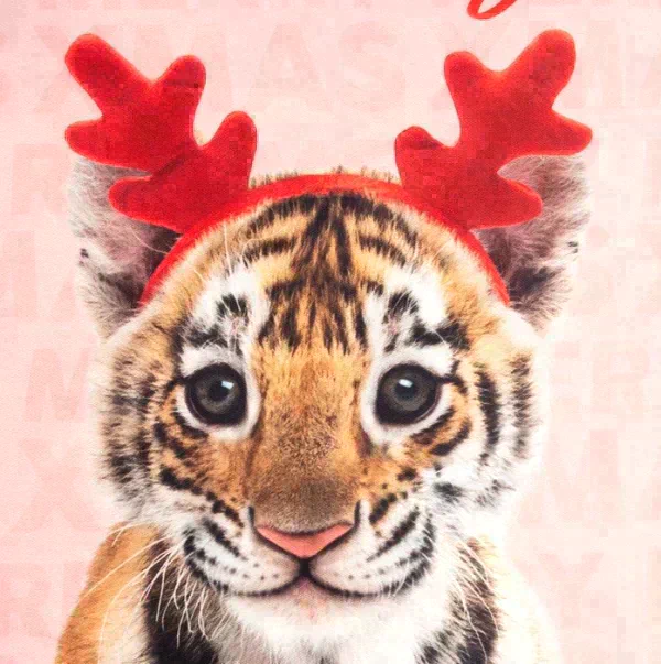 Новогодний подарочный набор кухонный Merry Xmas подставка, полотенце, формочка